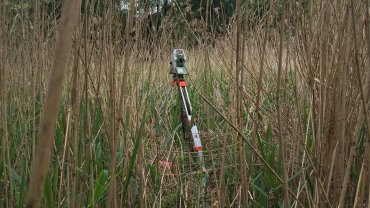 Džungle v Dejvicích